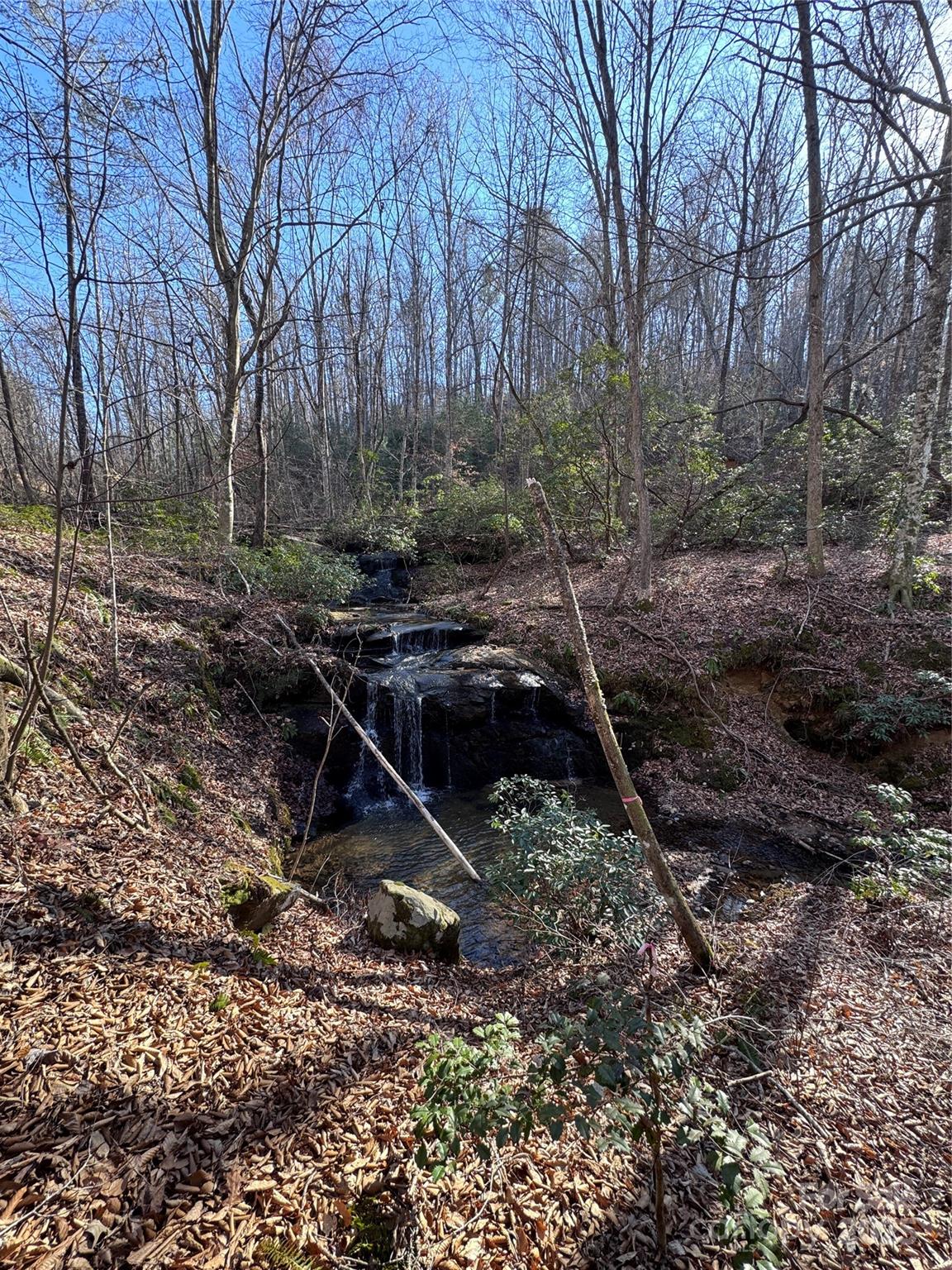 0 Black Rock Drive Rutherfordton NC 28139