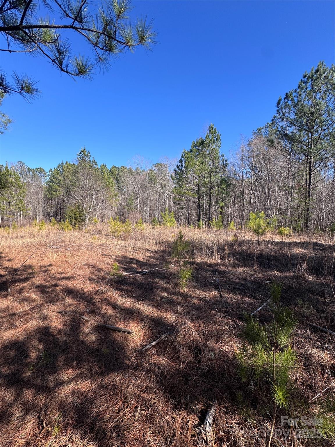0 Black Rock Drive Rutherfordton NC 28139