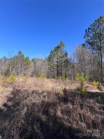 0 Black Rock Drive Rutherfordton NC 28139