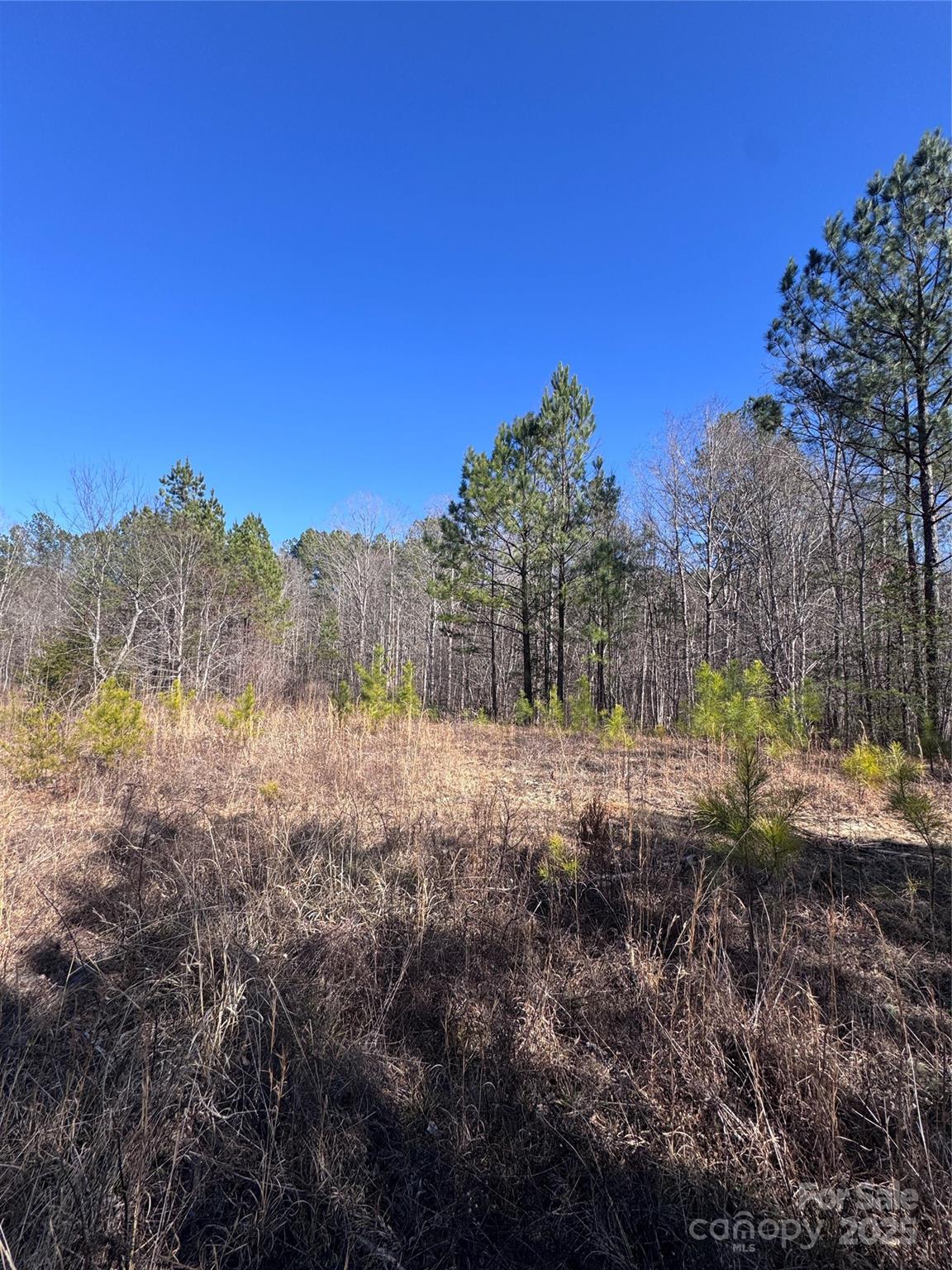 0 Black Rock Drive Rutherfordton NC 28139