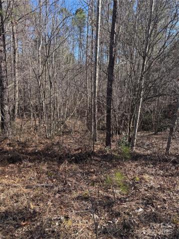 0 Black Rock Drive Rutherfordton NC 28139