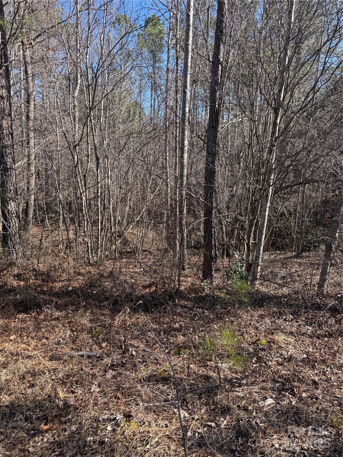 0 Black Rock Drive Rutherfordton NC 28139