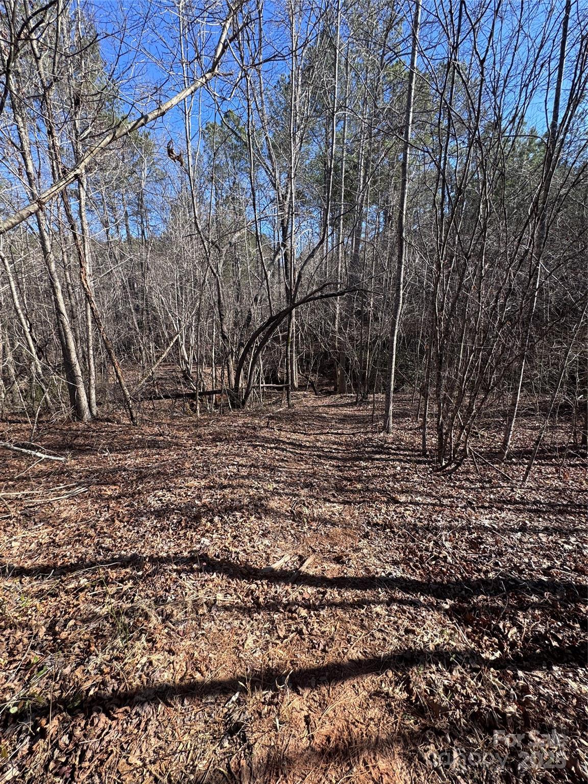 0 Black Rock Drive Rutherfordton NC 28139