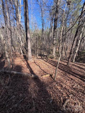 0 Black Rock Drive Rutherfordton NC 28139