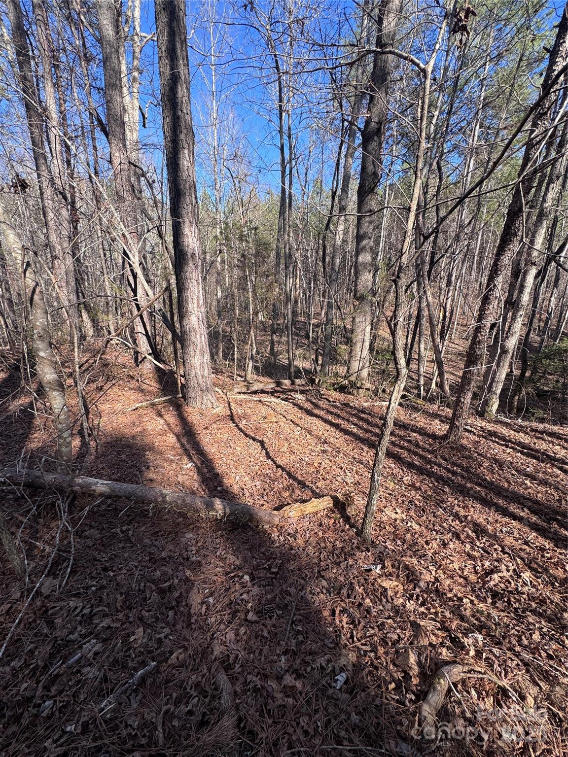 0 Black Rock Drive Rutherfordton NC 28139