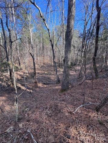 0 Black Rock Drive Rutherfordton NC 28139