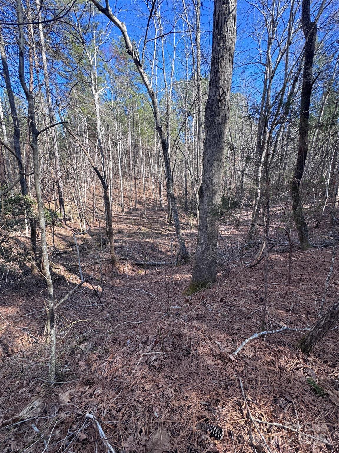 0 Black Rock Drive Rutherfordton NC 28139