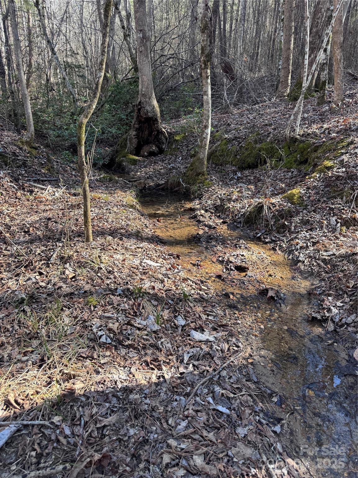 0 Black Rock Drive Rutherfordton NC 28139