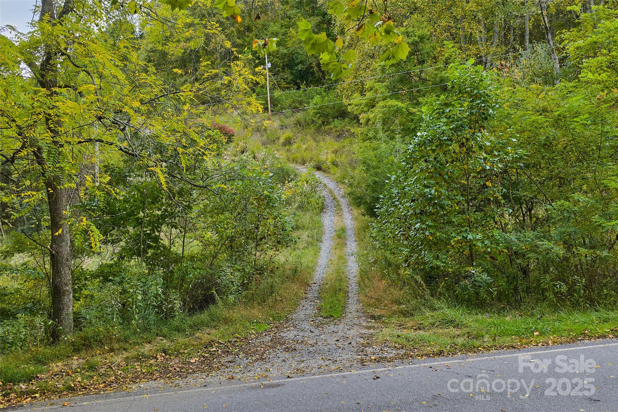 348 Chandler Creek Road Mars Hill NC 28754