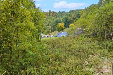 348 Chandler Creek Road Mars Hill NC 28754