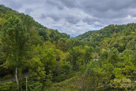 348 Chandler Creek Road Mars Hill NC 28754