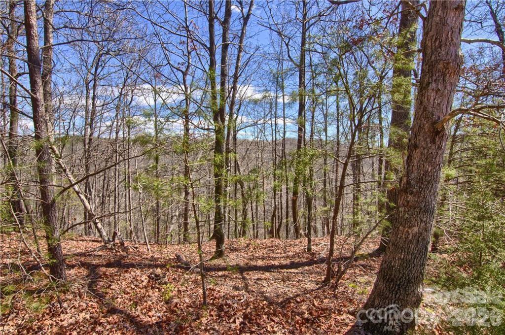 00 N Boundary Road Mill Spring NC 28756