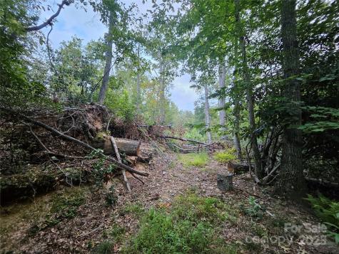 000 Double Island Road Green Mountain NC 28740