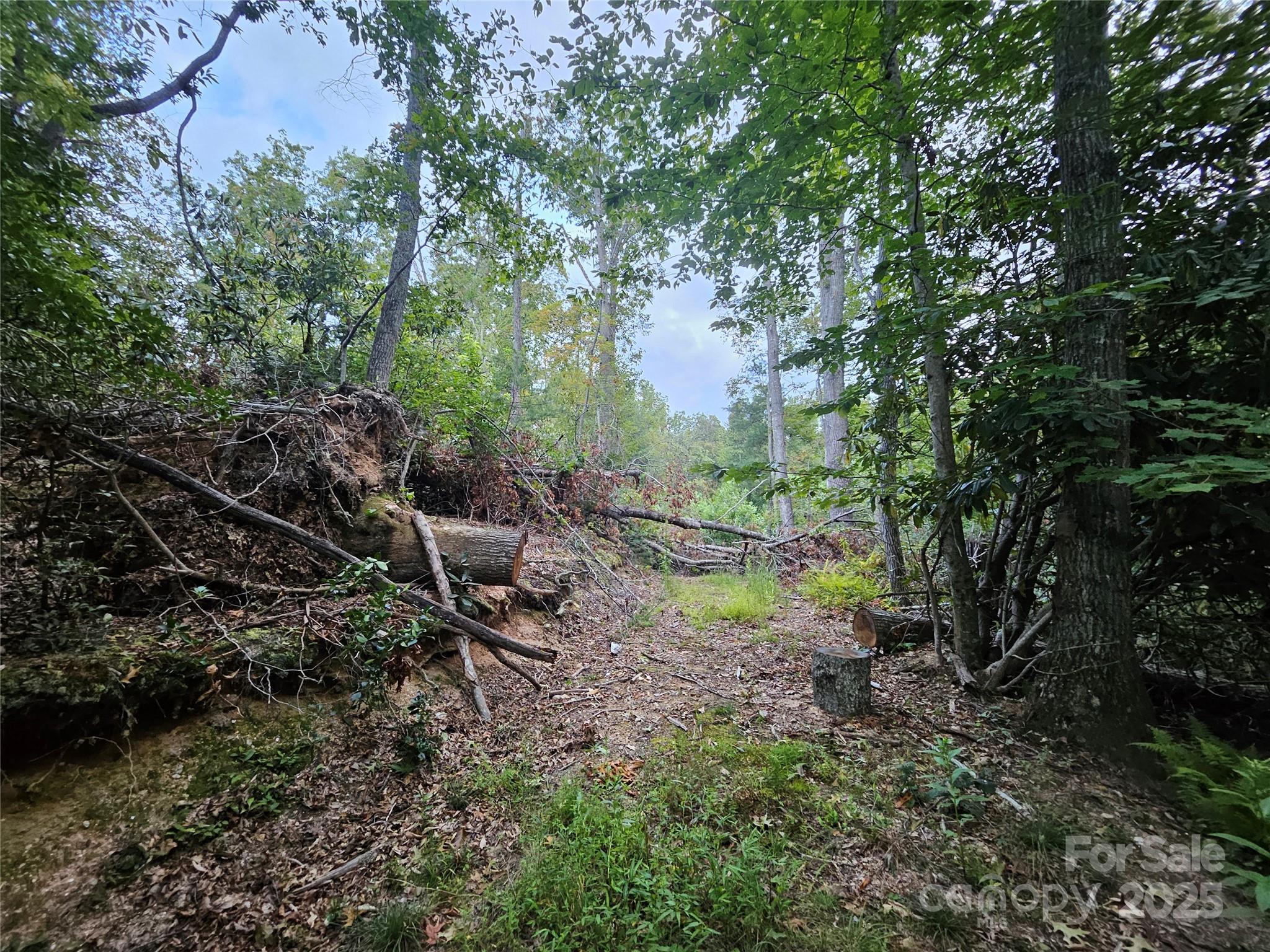 000 Double Island Road Green Mountain NC 28740