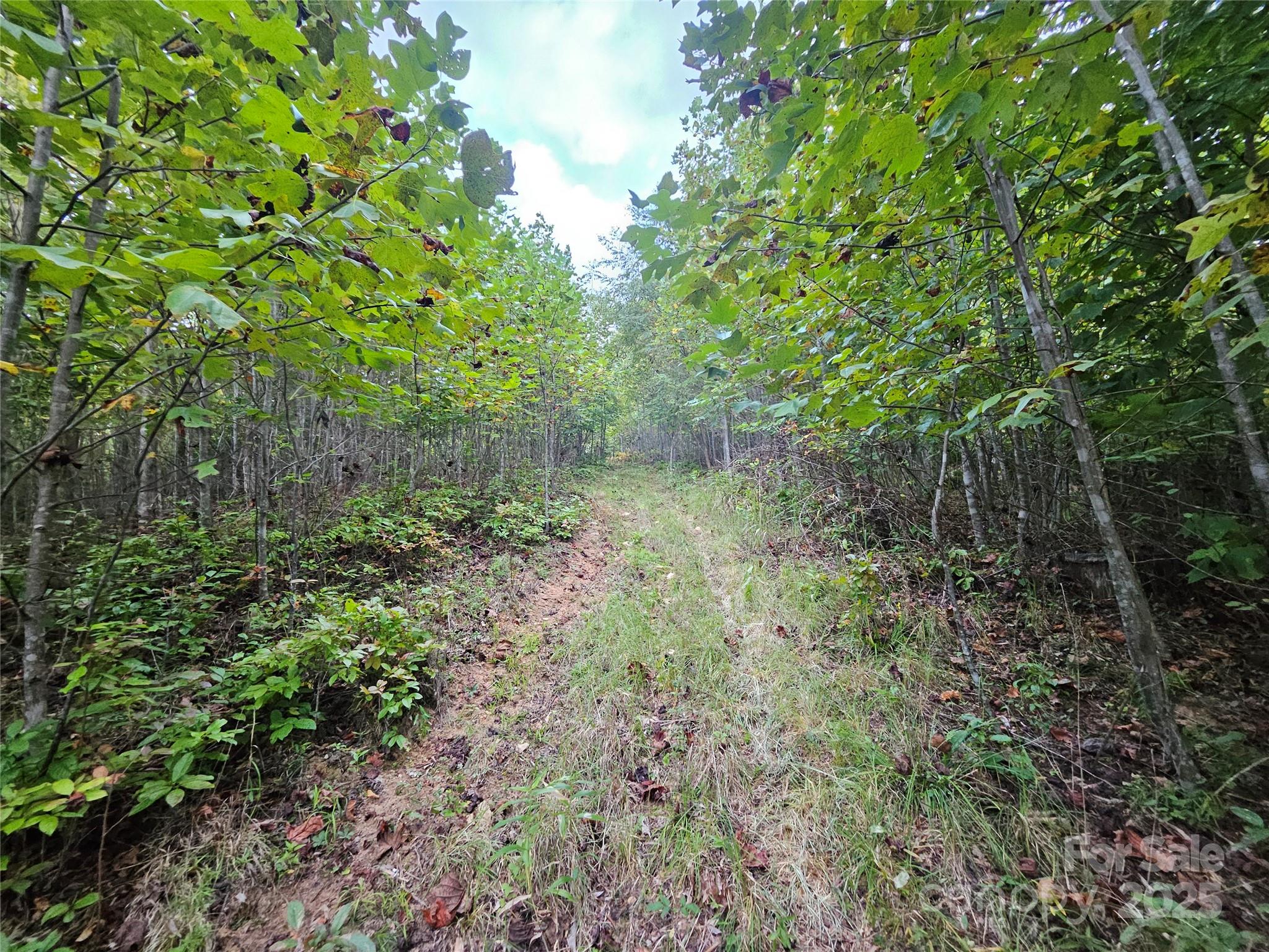 000 Double Island Road Green Mountain NC 28740