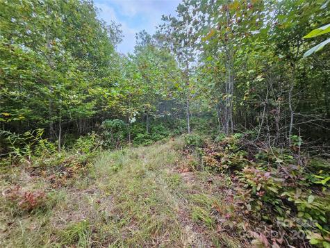 000 Double Island Road Green Mountain NC 28740