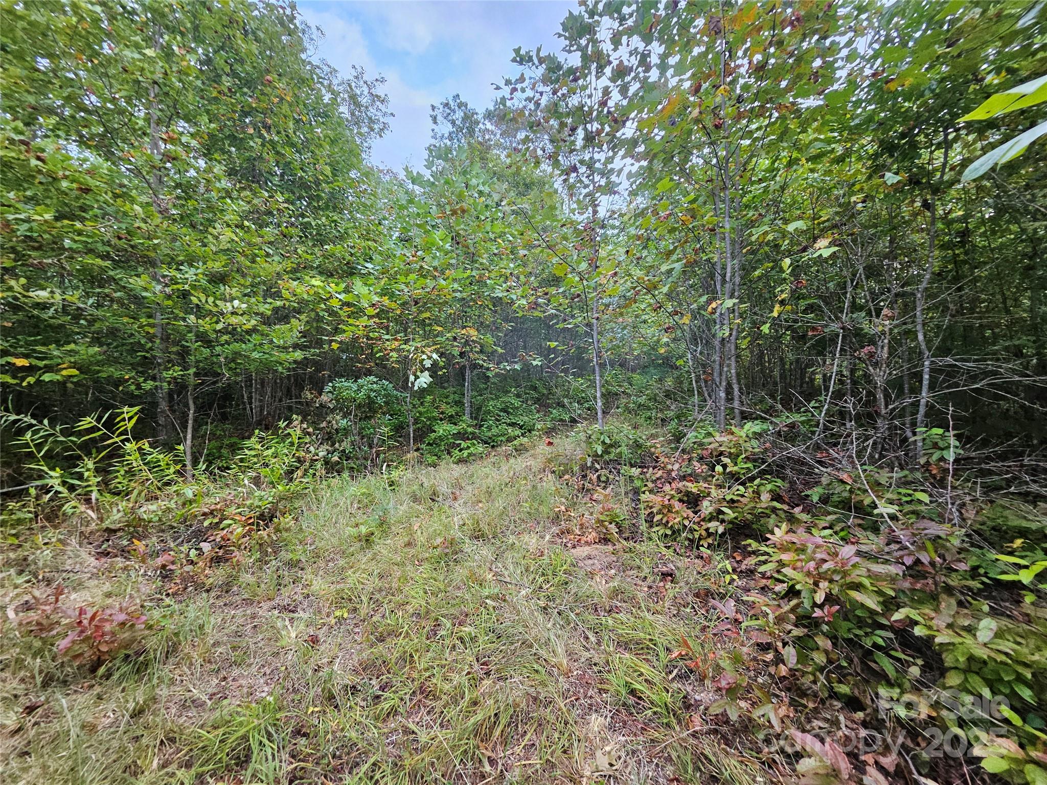 000 Double Island Road Green Mountain NC 28740