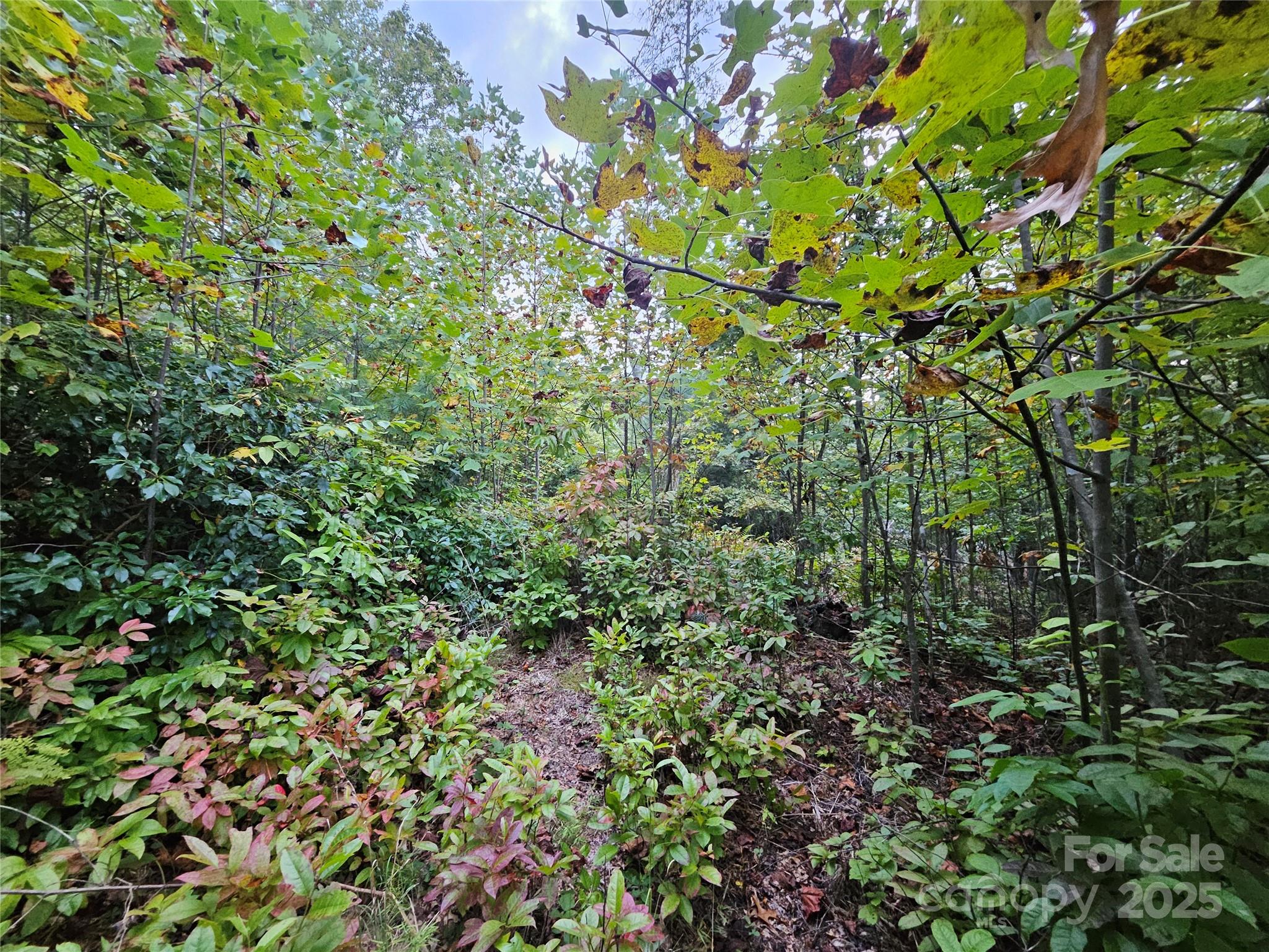 000 Double Island Road Green Mountain NC 28740