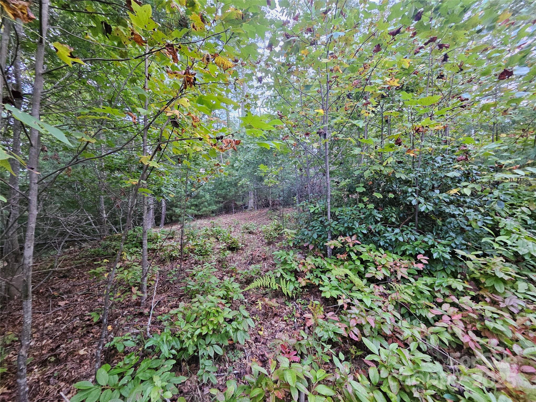 000 Double Island Road Green Mountain NC 28740