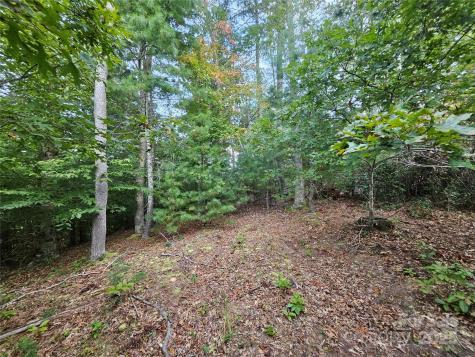 000 Double Island Road Green Mountain NC 28740