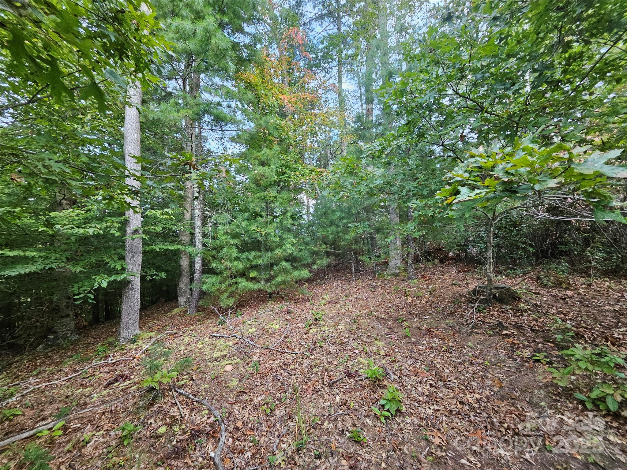 000 Double Island Road Green Mountain NC 28740