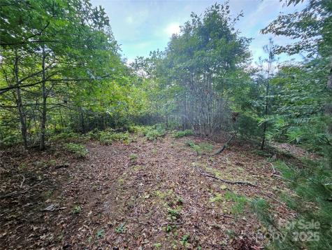 000 Double Island Road Green Mountain NC 28740