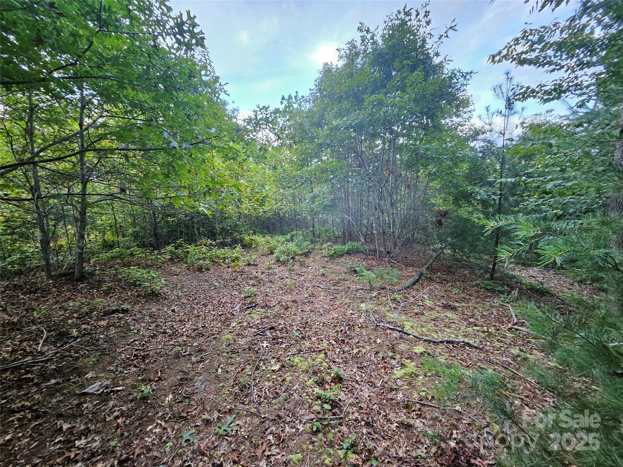000 Double Island Road Green Mountain NC 28740
