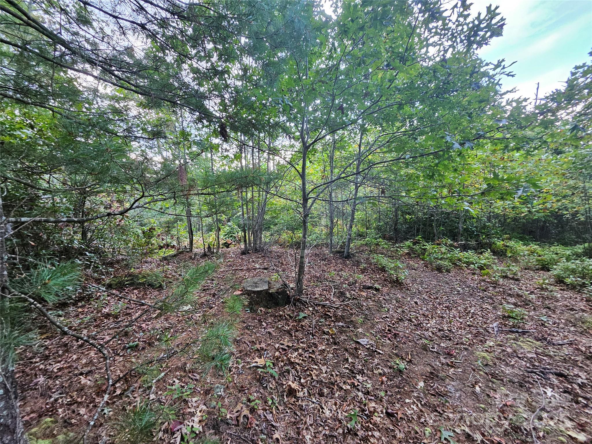 000 Double Island Road Green Mountain NC 28740