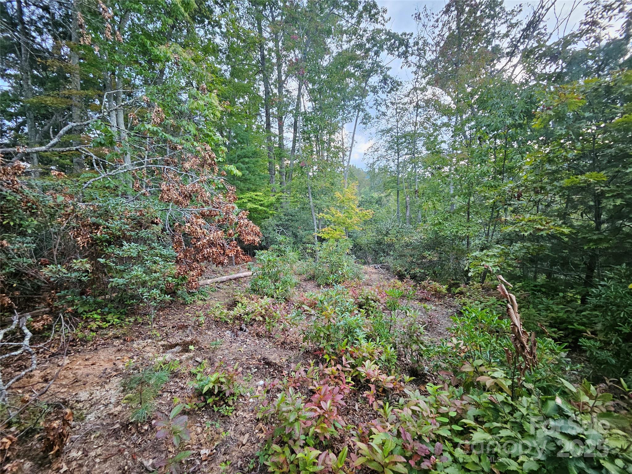000 Double Island Road Green Mountain NC 28740