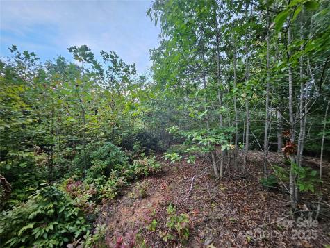 000 Double Island Road Green Mountain NC 28740