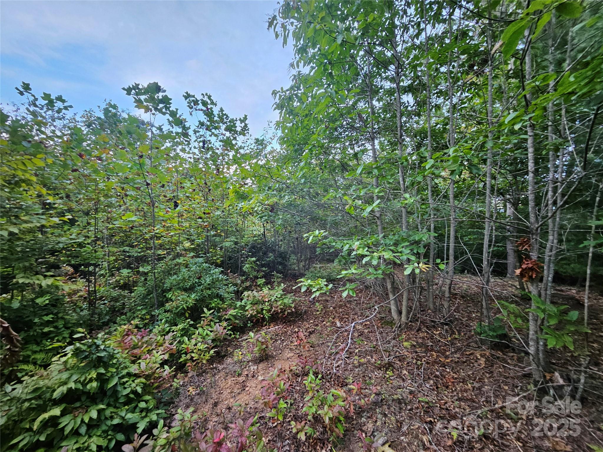 000 Double Island Road Green Mountain NC 28740