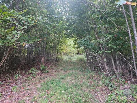 000 Double Island Road Green Mountain NC 28740