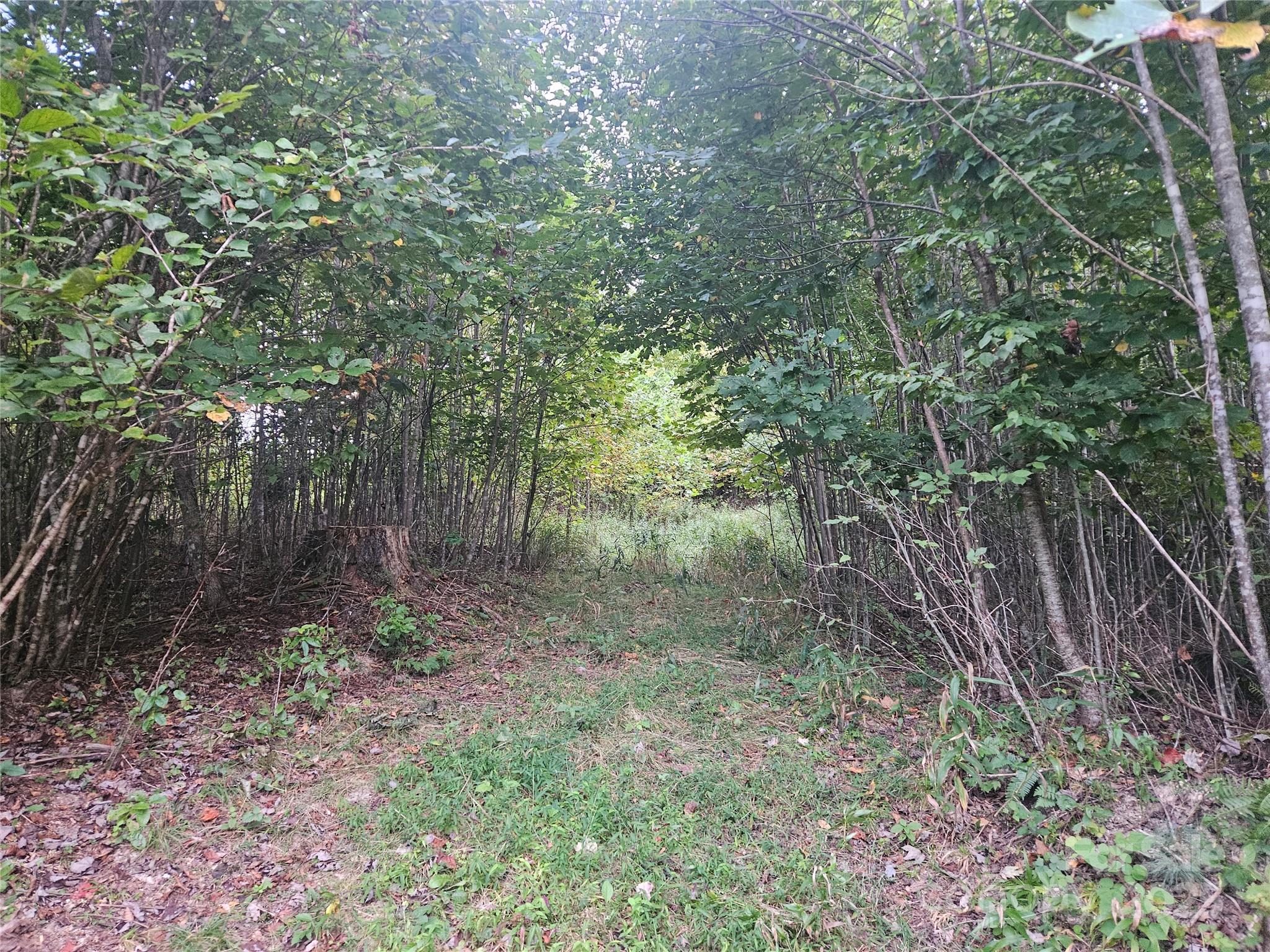 000 Double Island Road Green Mountain NC 28740
