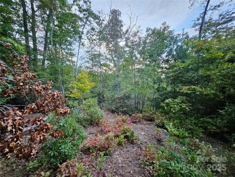 000 Double Island Road Green Mountain NC 28740