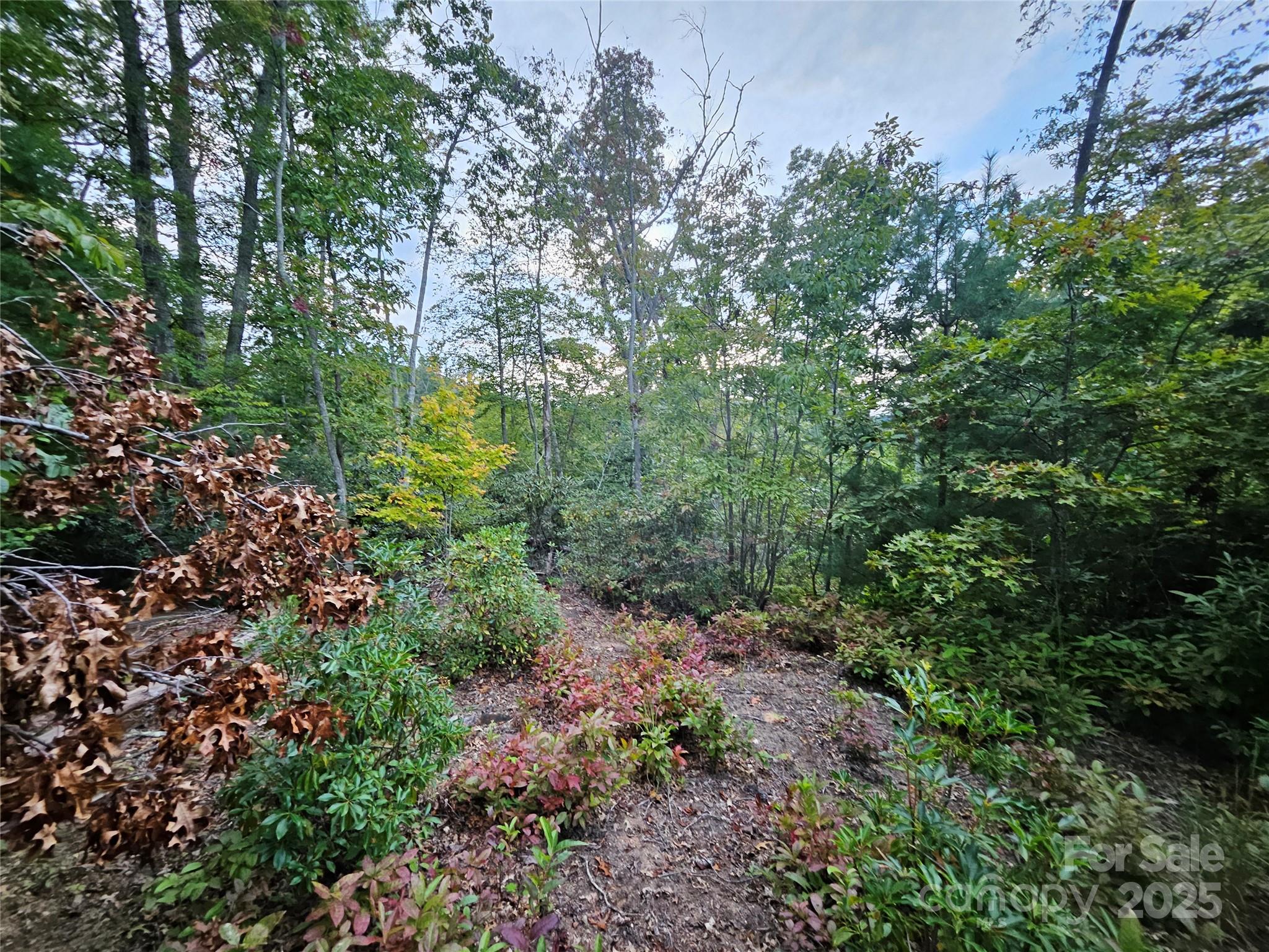 000 Double Island Road Green Mountain NC 28740