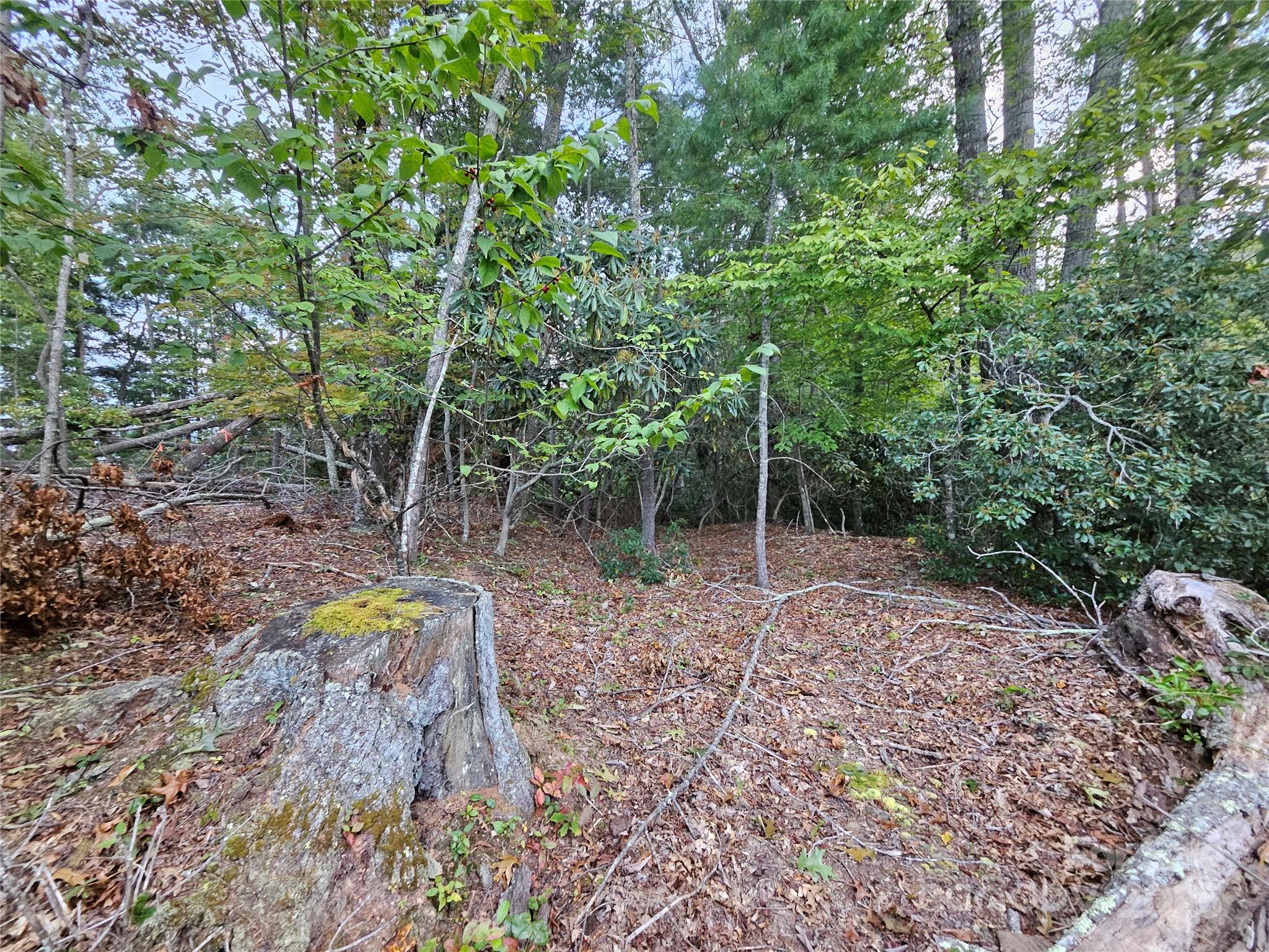 000 Double Island Road Green Mountain NC 28740