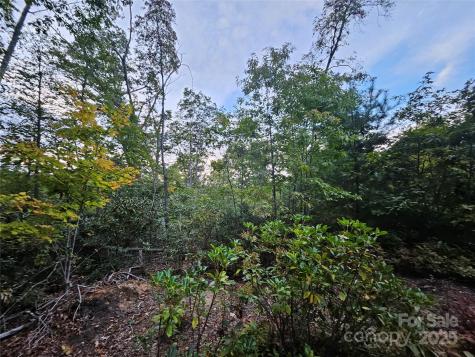 000 Double Island Road Green Mountain NC 28740
