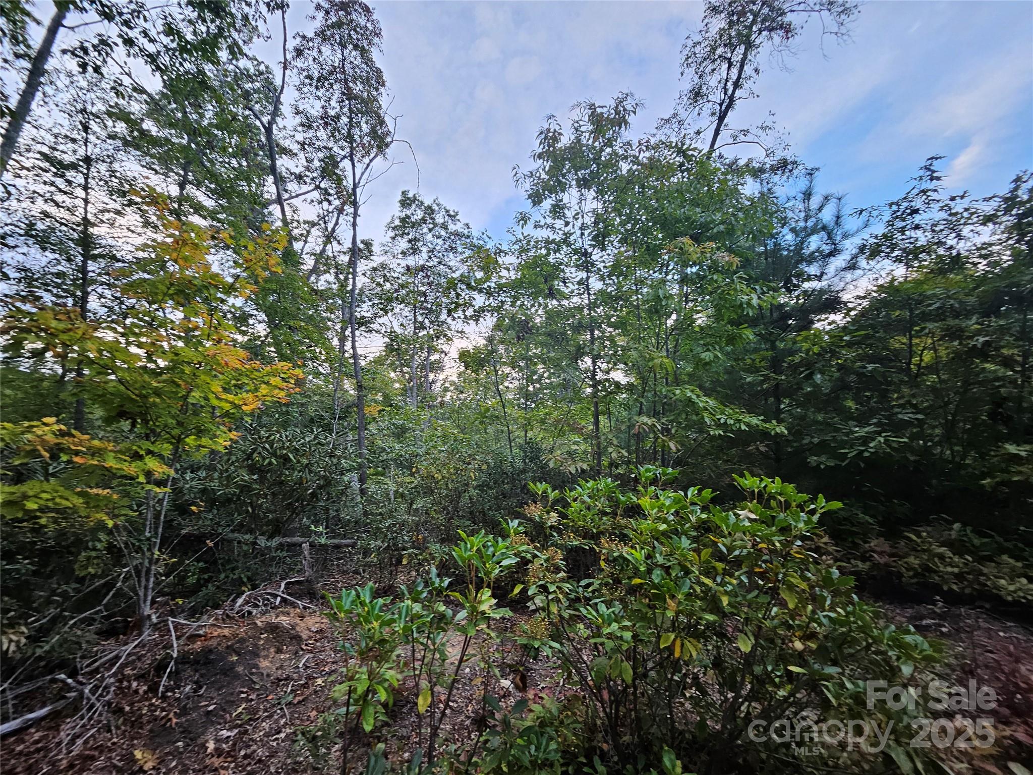 000 Double Island Road Green Mountain NC 28740