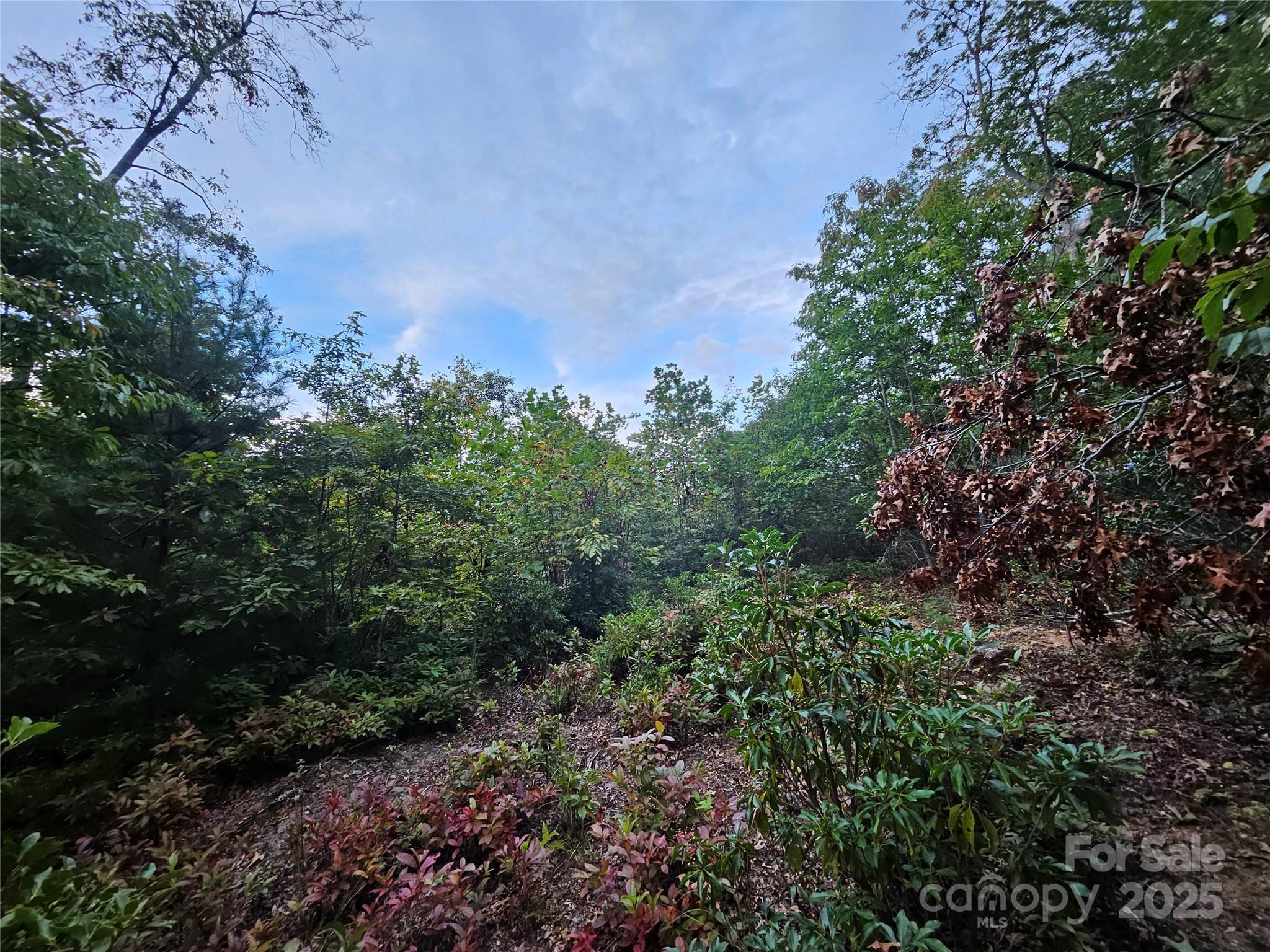 000 Double Island Road Green Mountain NC 28740