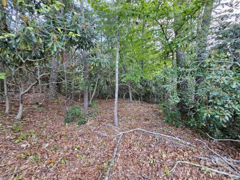 000 Double Island Road Green Mountain NC 28740