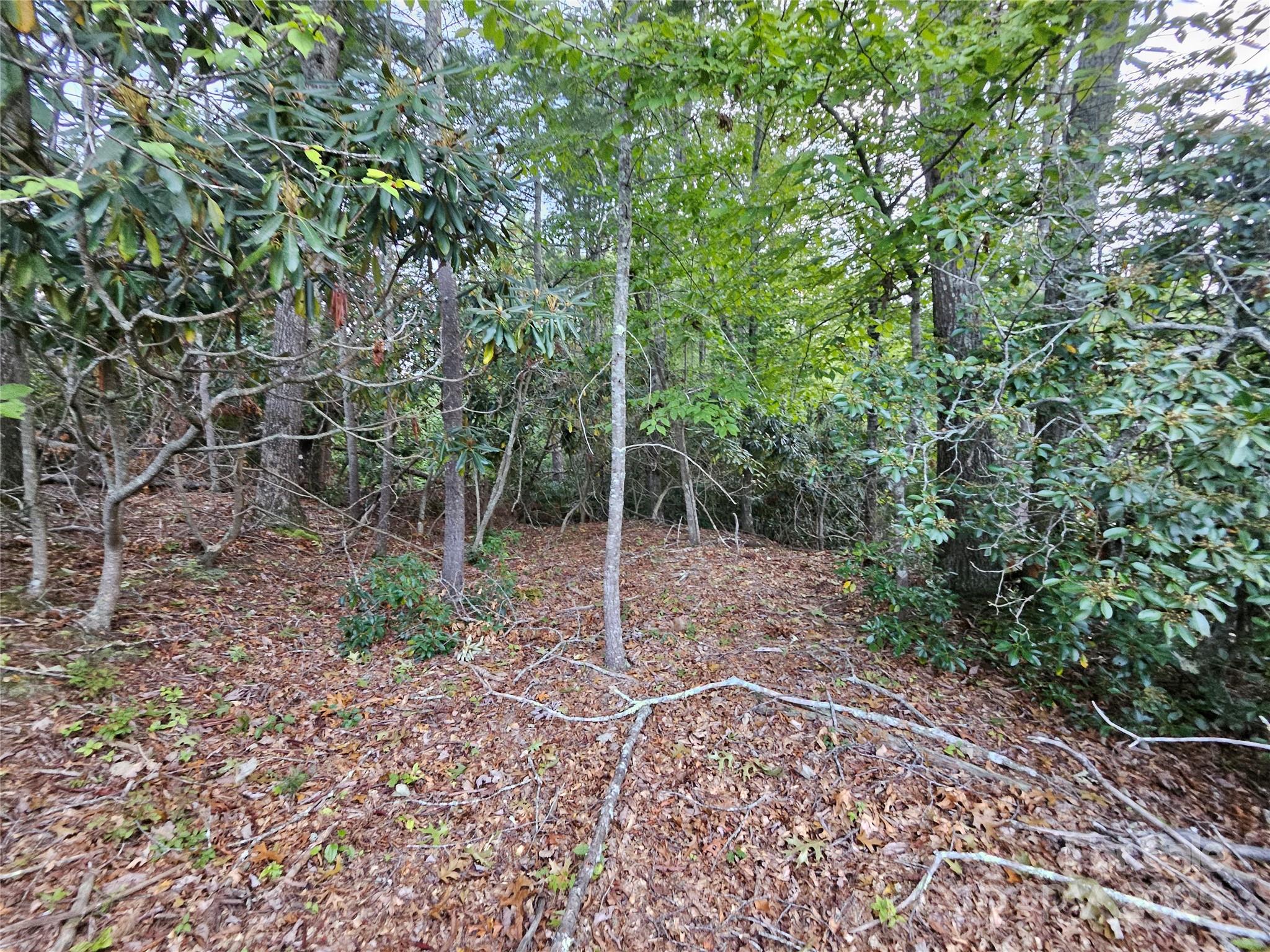 000 Double Island Road Green Mountain NC 28740