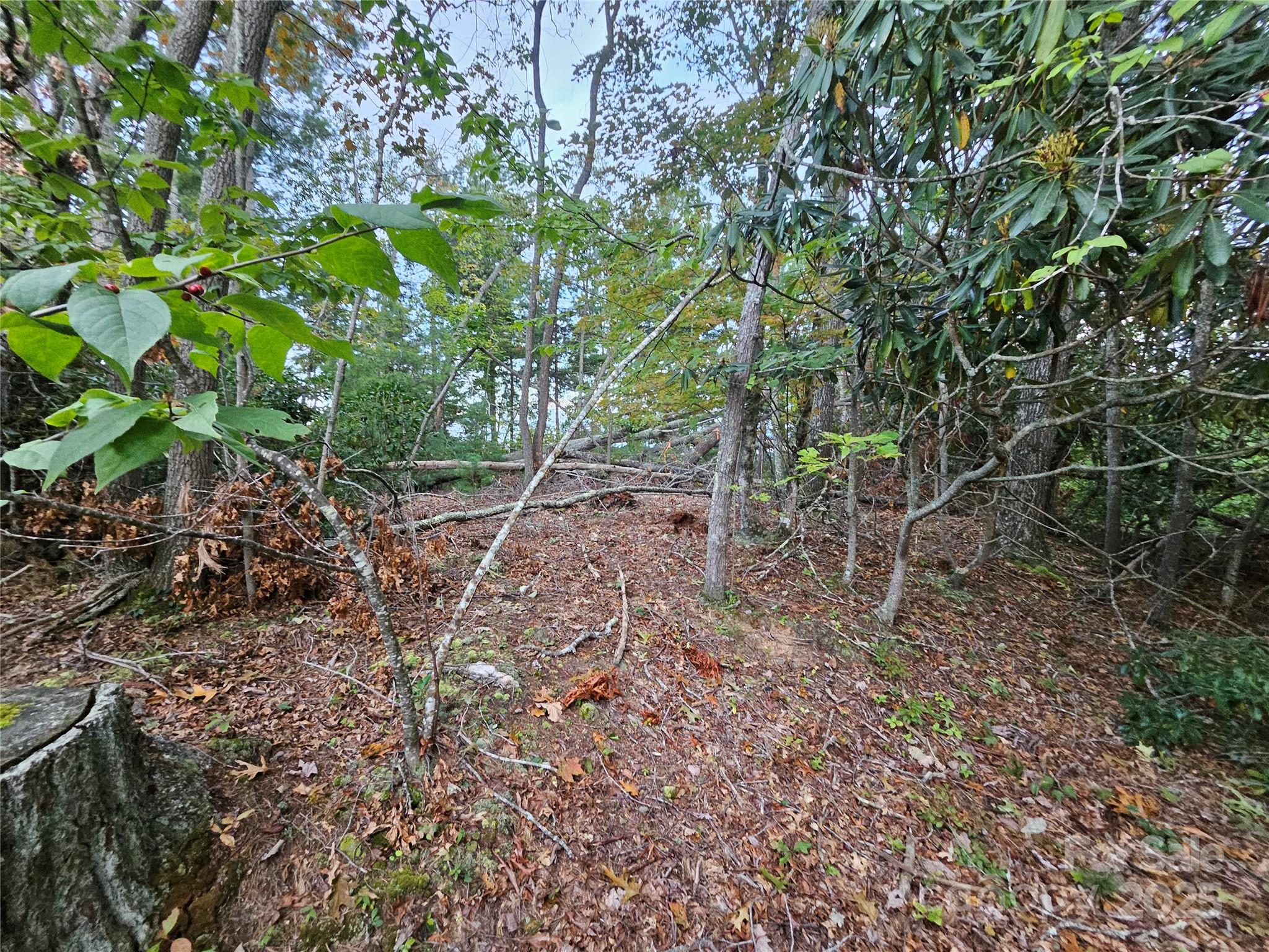 000 Double Island Road Green Mountain NC 28740