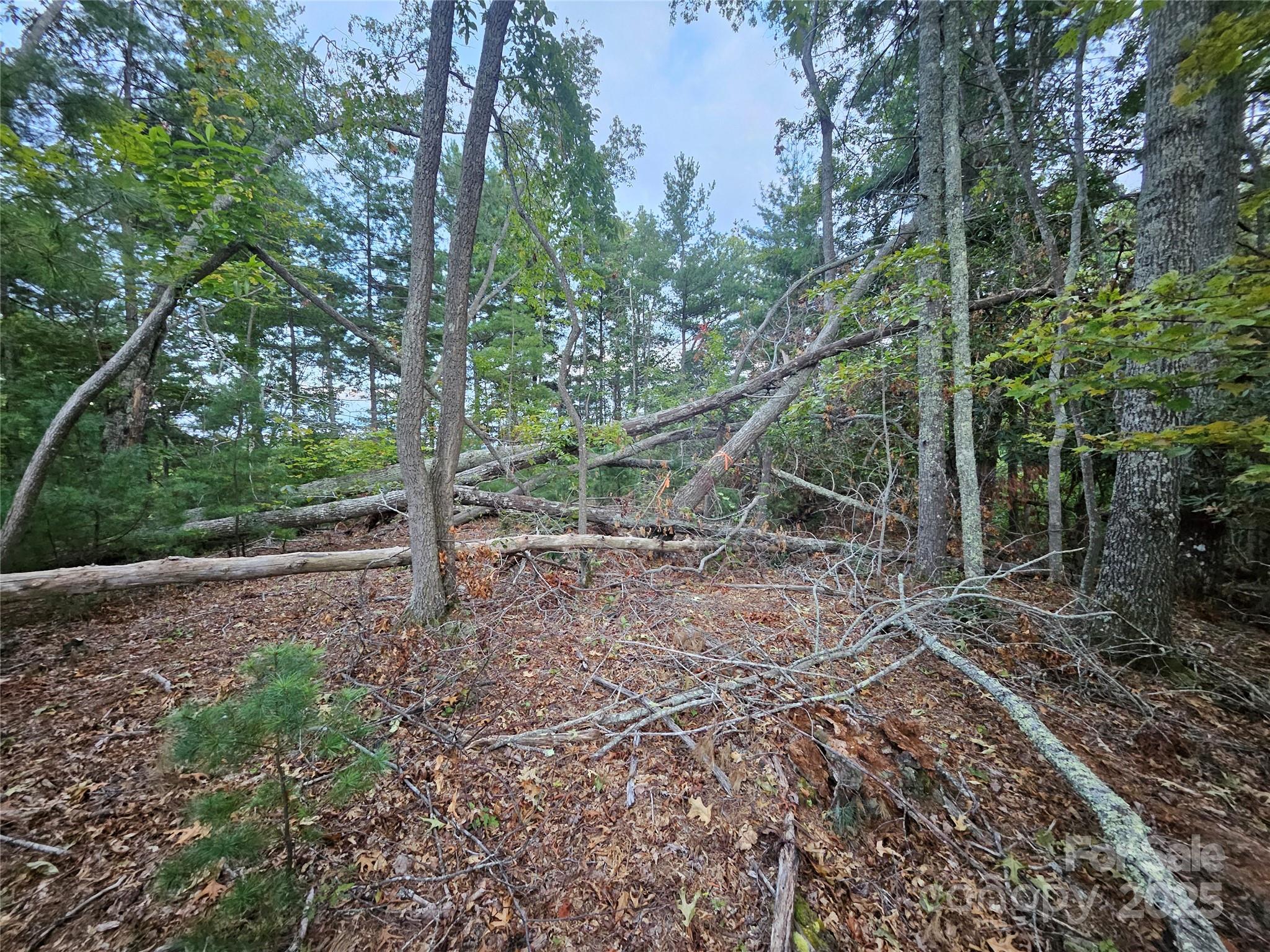000 Double Island Road Green Mountain NC 28740