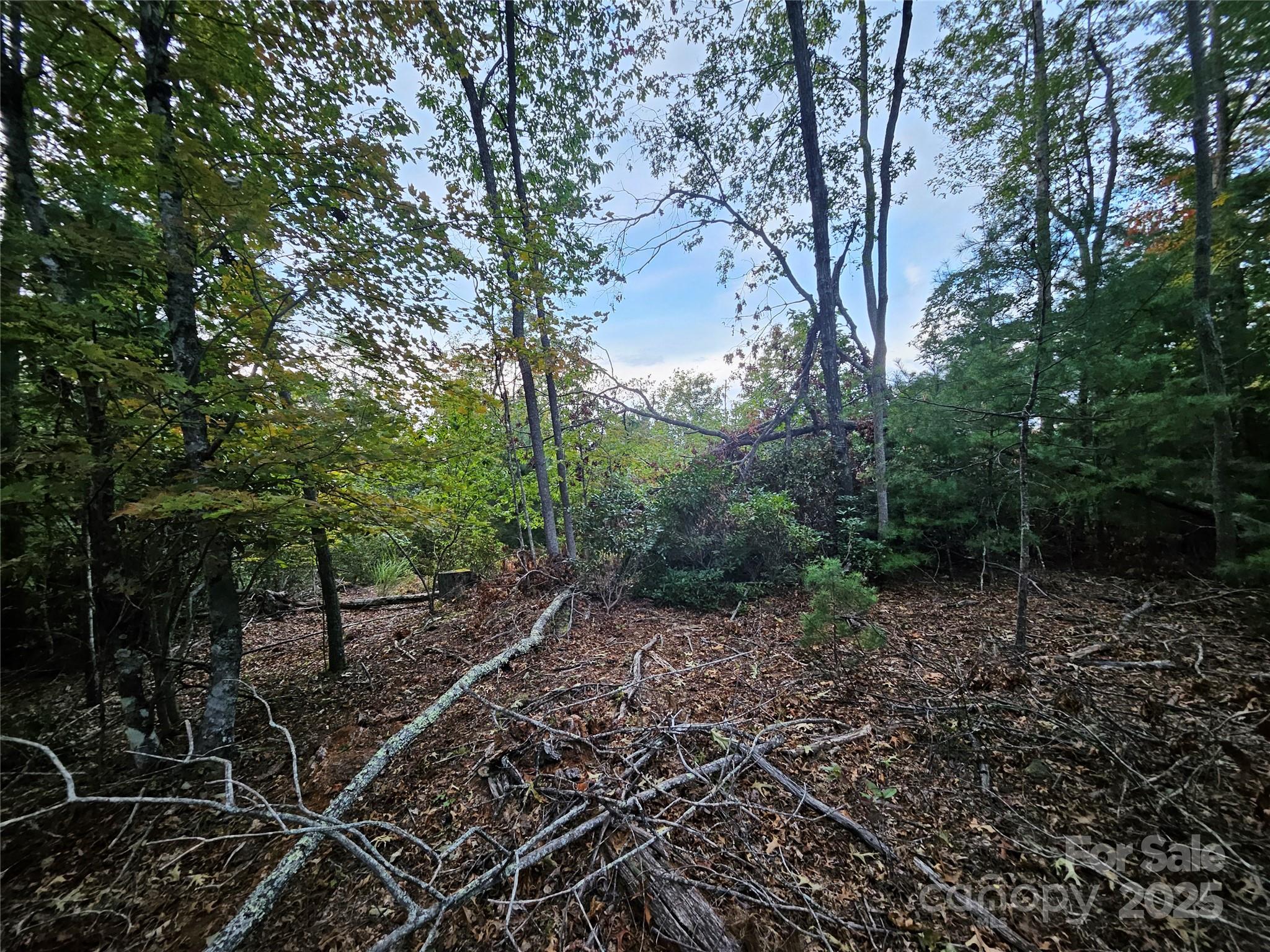 000 Double Island Road Green Mountain NC 28740