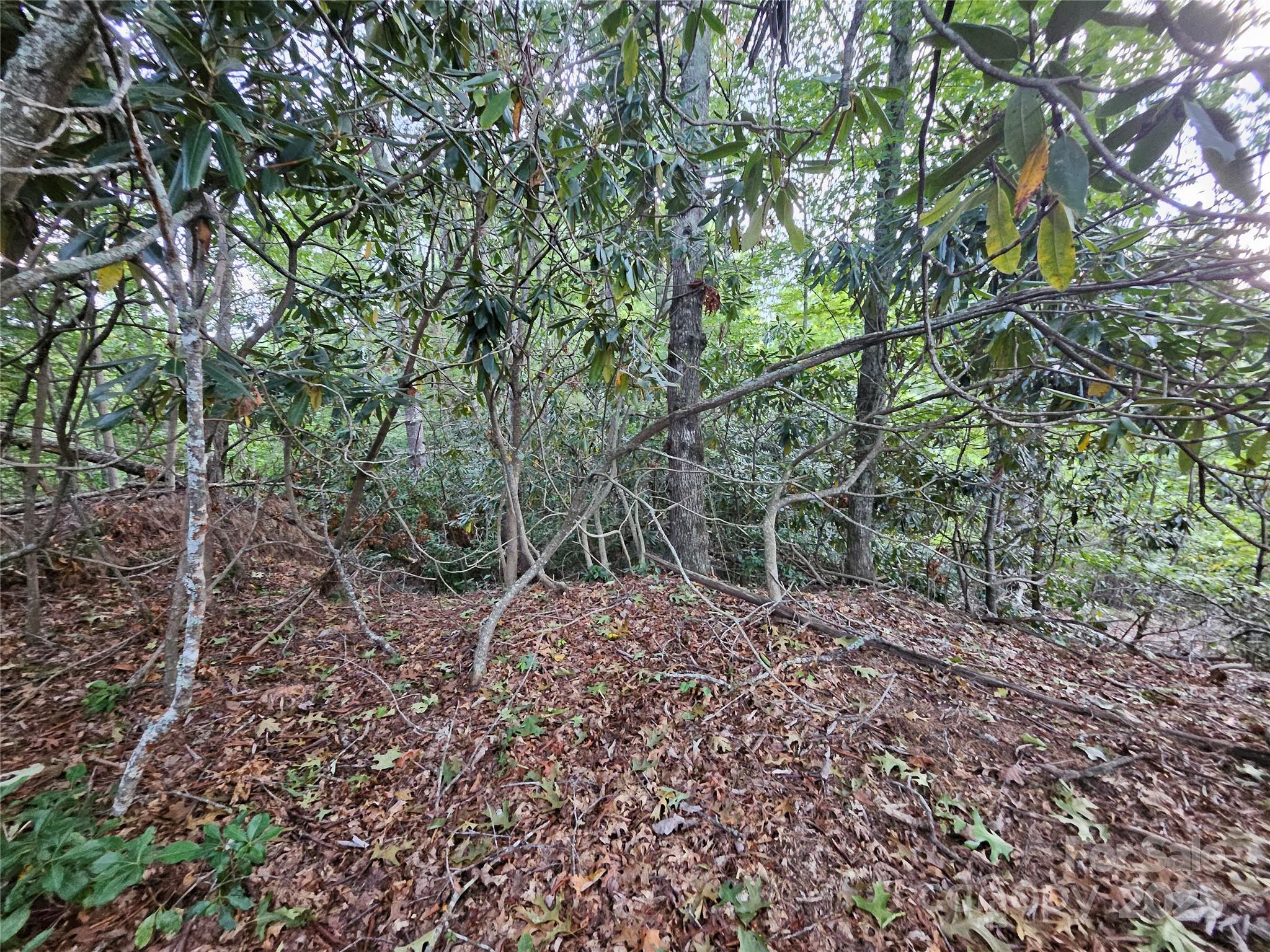 000 Double Island Road Green Mountain NC 28740
