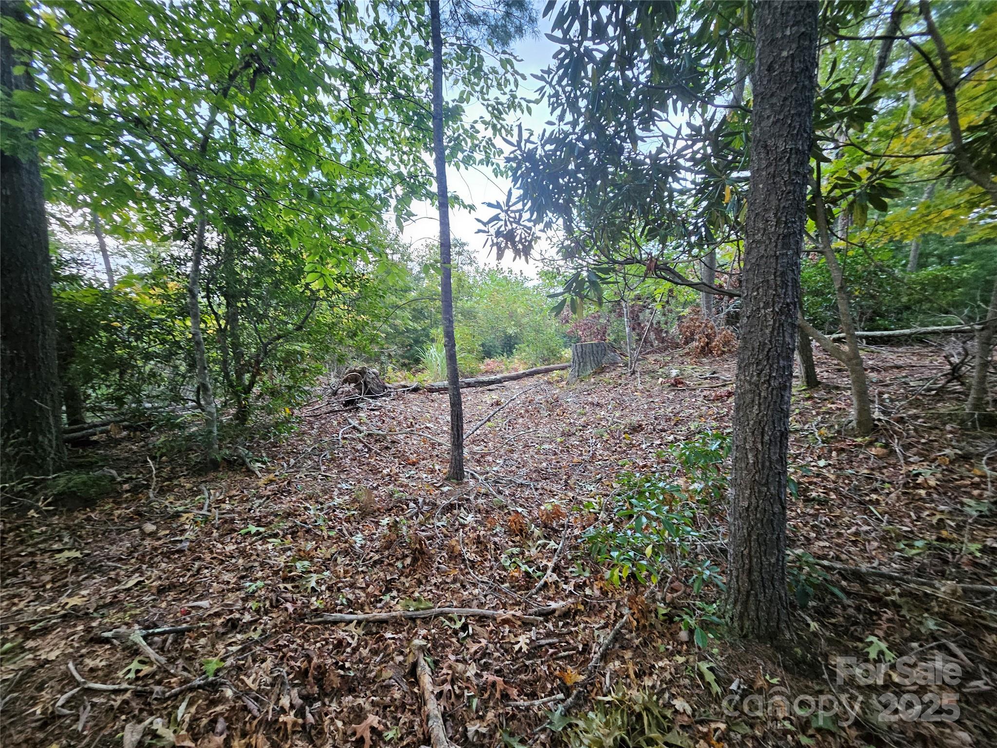 000 Double Island Road Green Mountain NC 28740