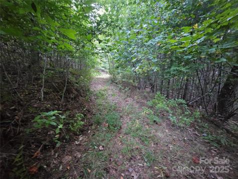 000 Double Island Road Green Mountain NC 28740