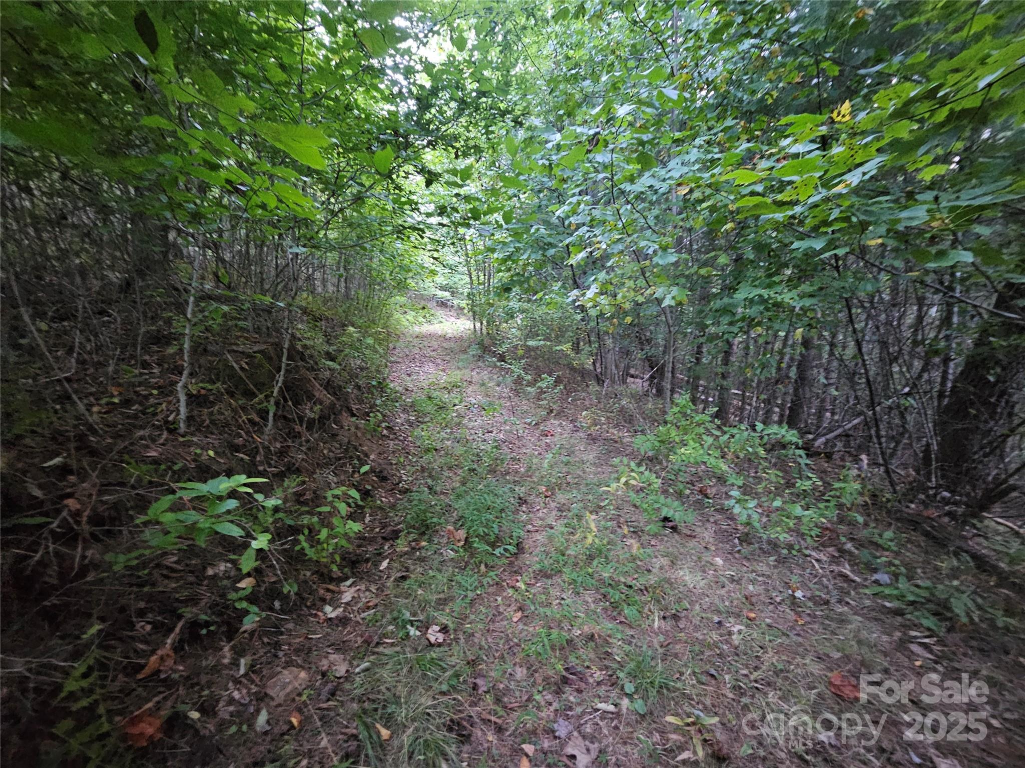 000 Double Island Road Green Mountain NC 28740
