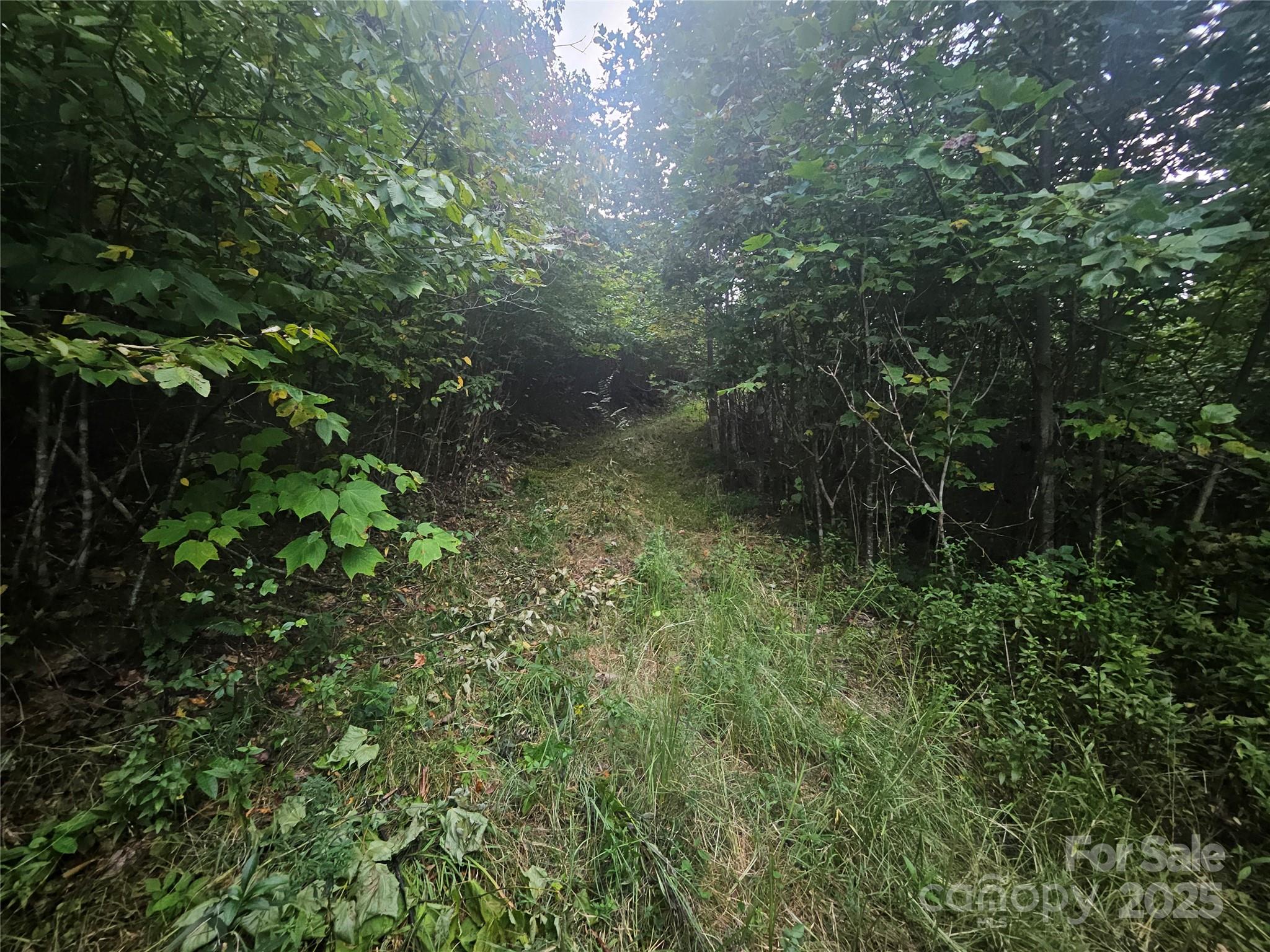 000 Double Island Road Green Mountain NC 28740