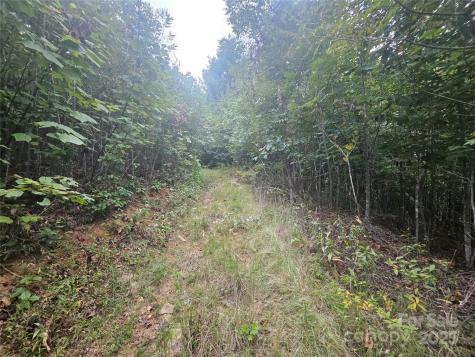 000 Double Island Road Green Mountain NC 28740